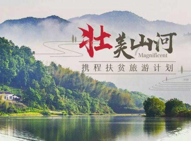 寻找迷路的松鼠